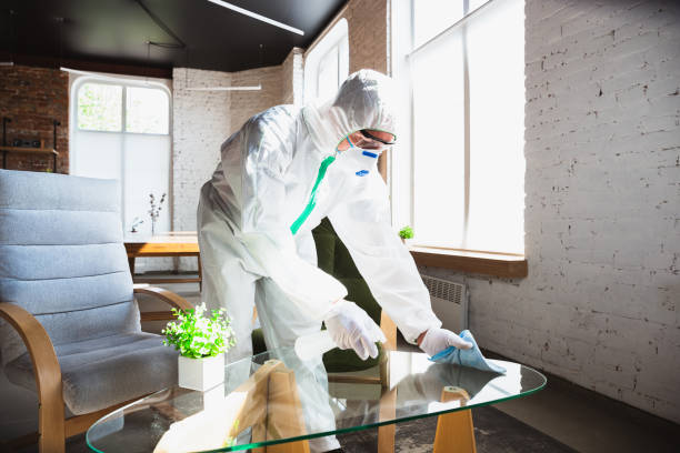 Best Emergency Mold Remediation  in Purdy, MO